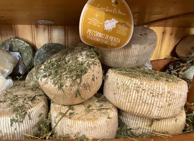 Pecorino