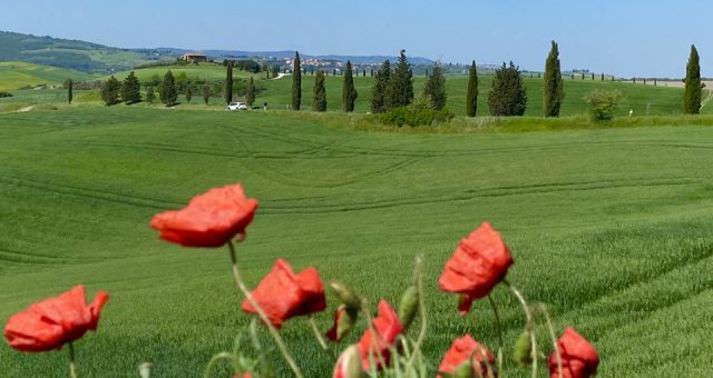 Spomladanski izlet v Toskano