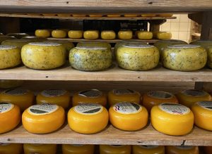 Volendam_cheese